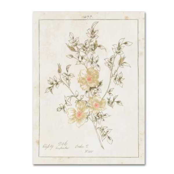 Wild Apple Portfolio 'Flowers on White II with Words' Canvas Art, 24x32, Trademark Fine Art, Mfr#: WAP01412-C2432GG